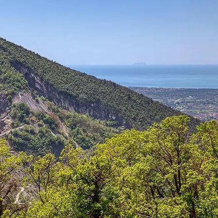 Tenuta Delle Stelle فندق مبيت وإفطار *
