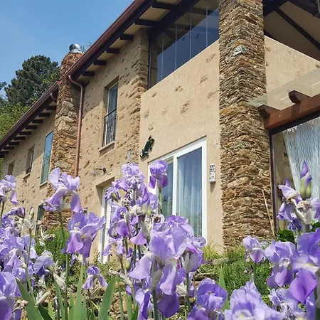 Tenuta Delle Stelle Серавецца