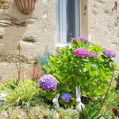 Tenuta Delle Stelle Отель типа 