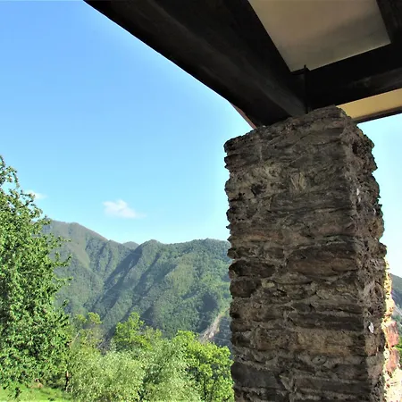 Tenuta Delle Stelle Серавецца