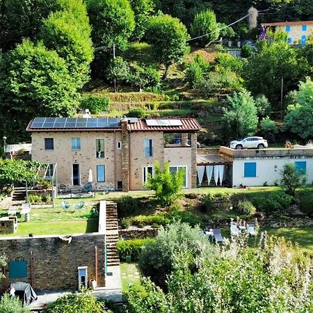 Tenuta Delle Stelle Серавецца